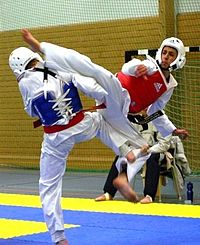 taekwondo insurance